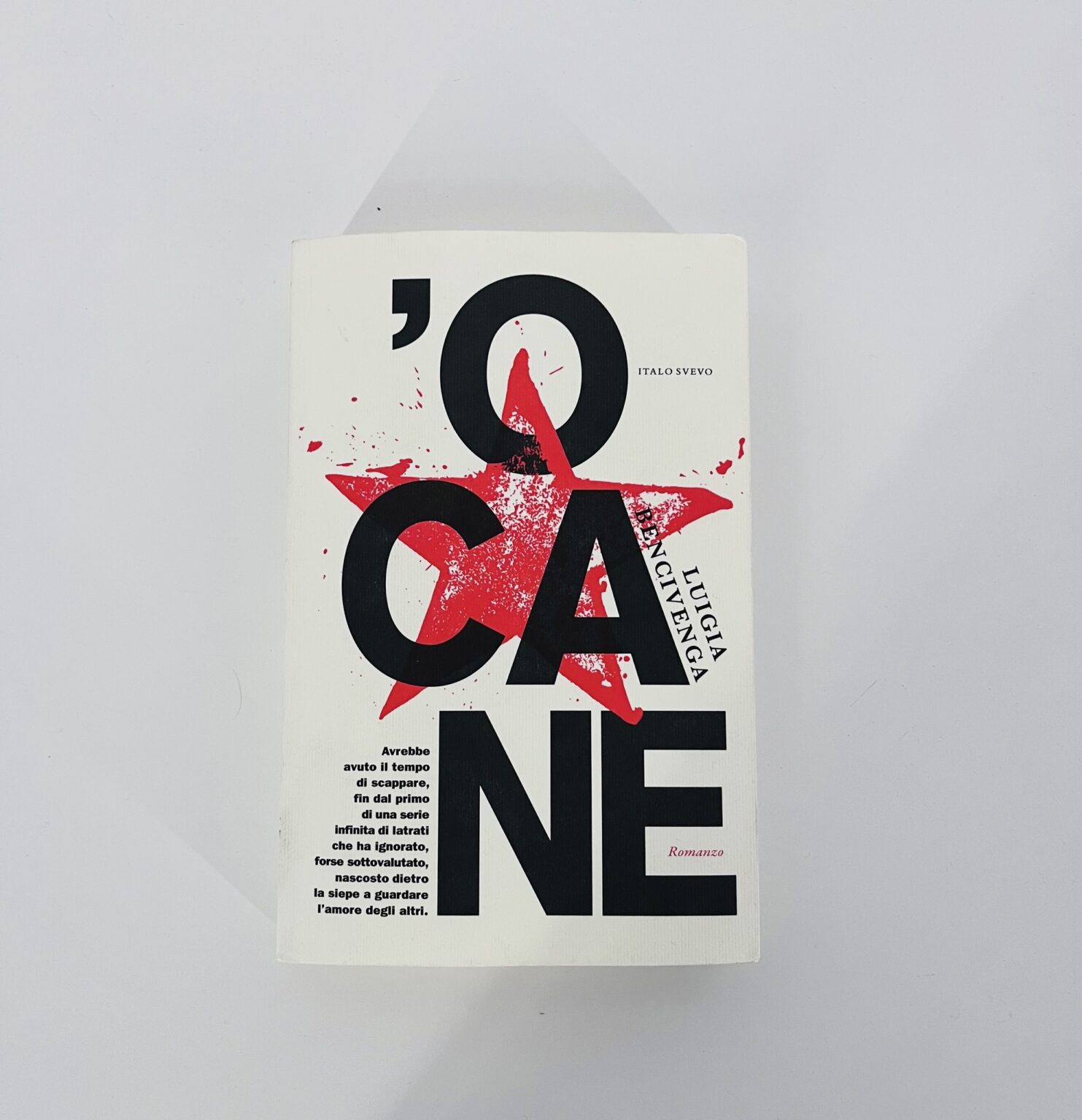 ‘O Cane di Luigia Bencivenga, Italo Svevo Edizioni