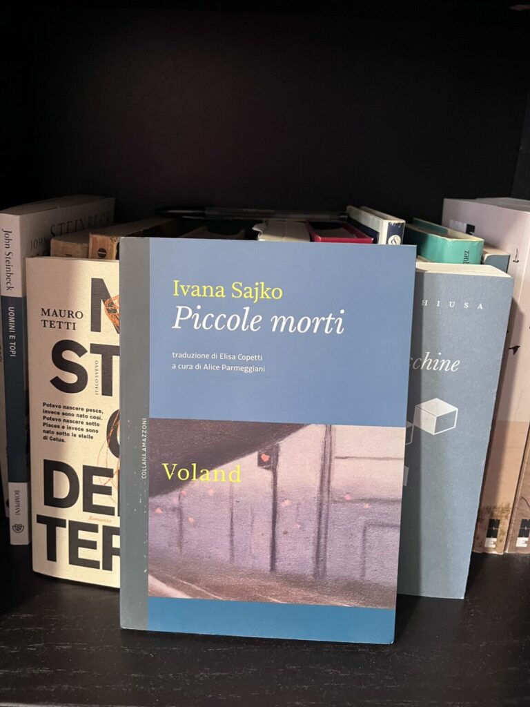 Piccole Morti di Ivana Sajko, Voland Edizioni