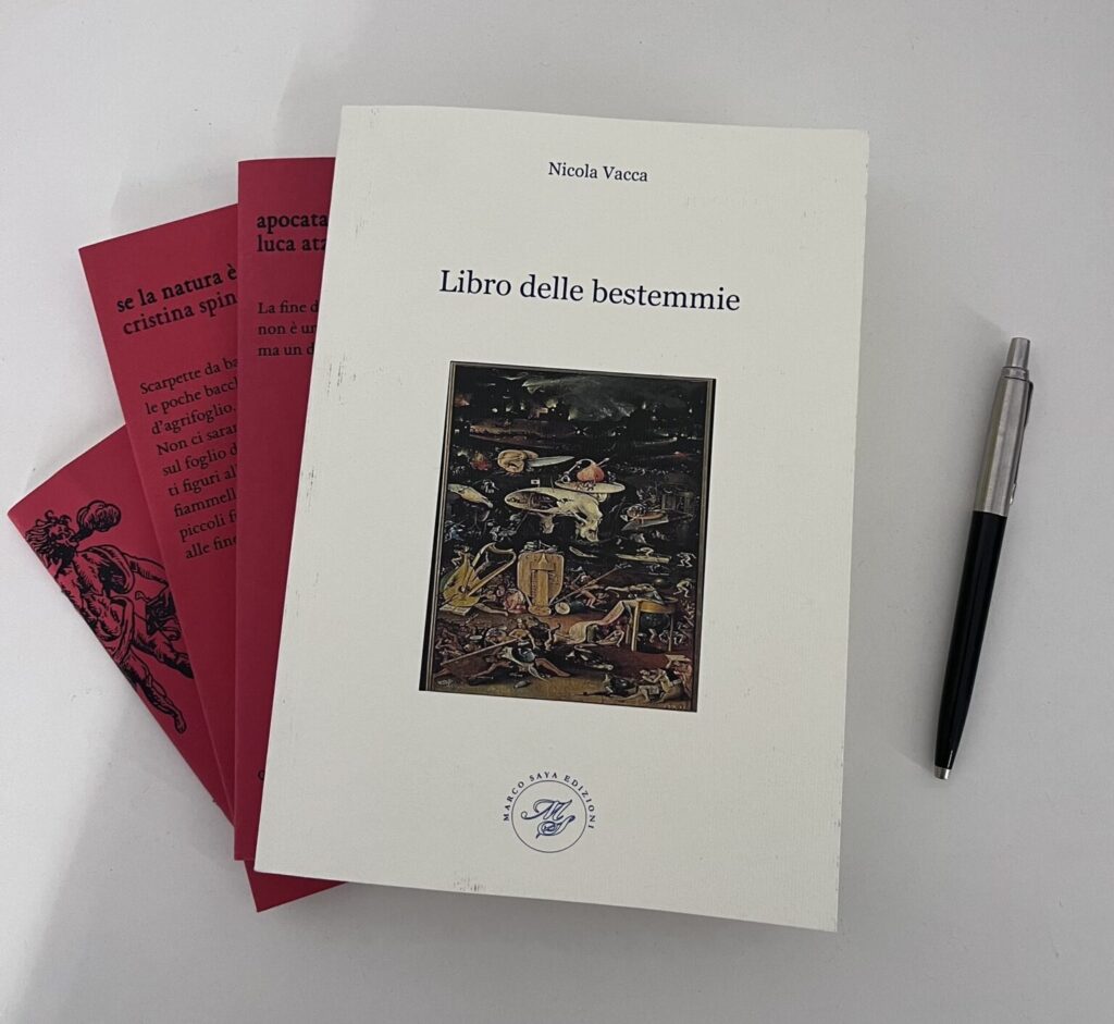 Il libro delle bestemmie di Nicola Vacca, Marco Saya Edizioni